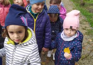 Dzieci zbierają żołędzie i liście